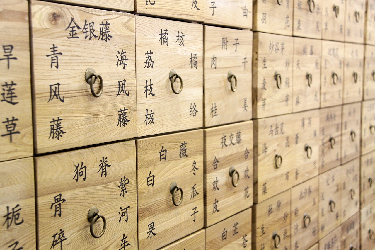 中医药在慢性病治疗中的应用探讨（最新中医论文分享）