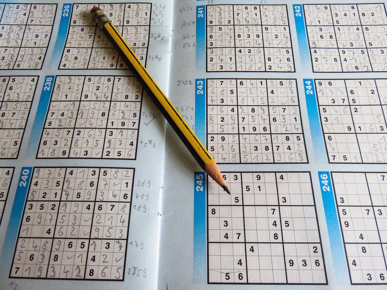 最新跳跳棋，策略与乐趣的完美融合