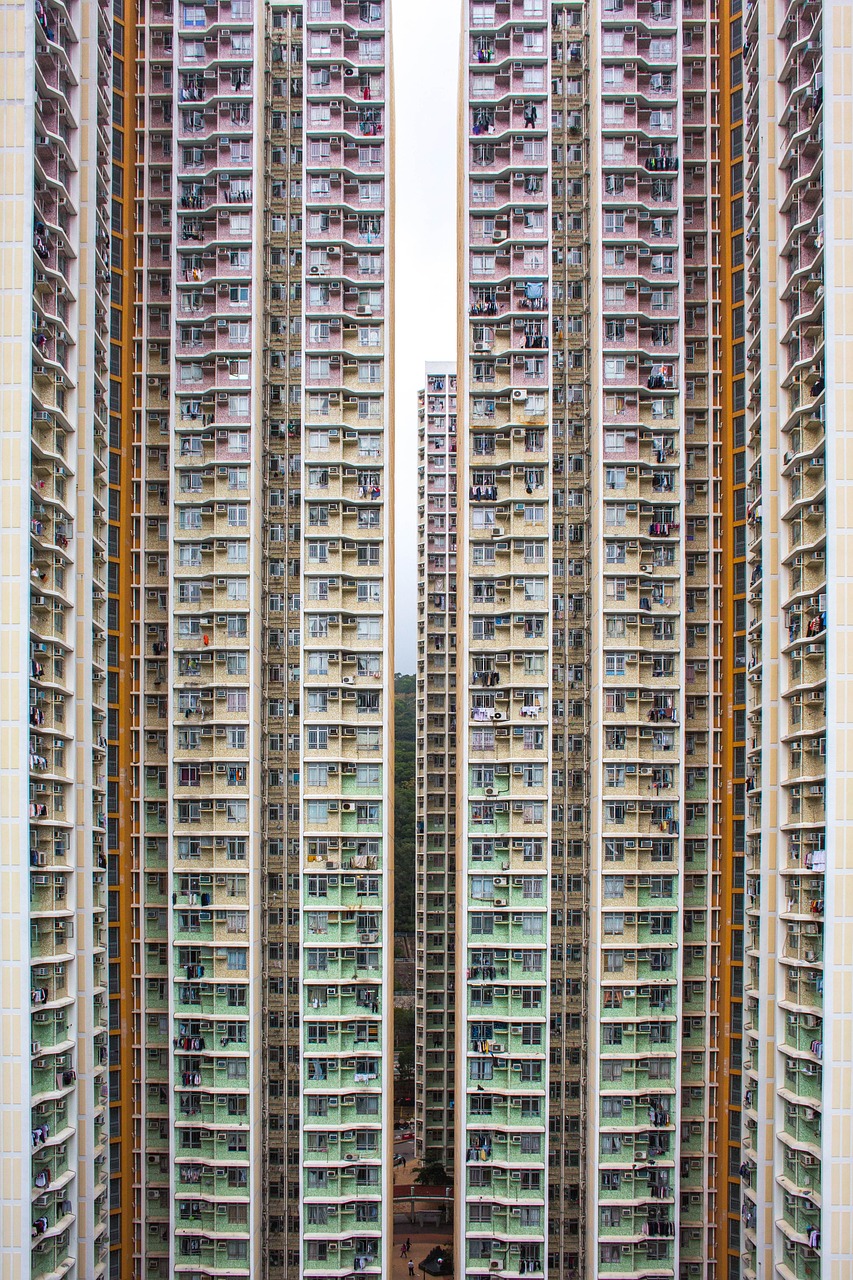 香港4777777开奖结果+开奖结果一,巴勒的社会结构及其对社区生活的影响
